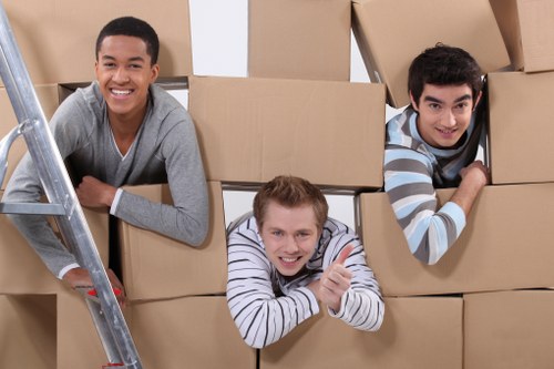 Eco-friendly furniture storage practices in Wimbledon