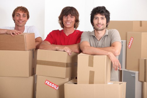 Different types of removal trucks available