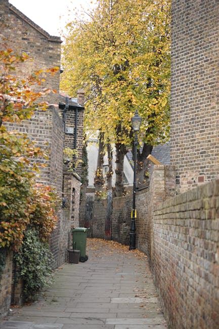 A narrow paved alleyway in a residential area during daytime, lined with old brick walls and buildings on both sides. There are two black street lamps positioned along the alley, and a large tree with